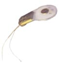 Electrodos